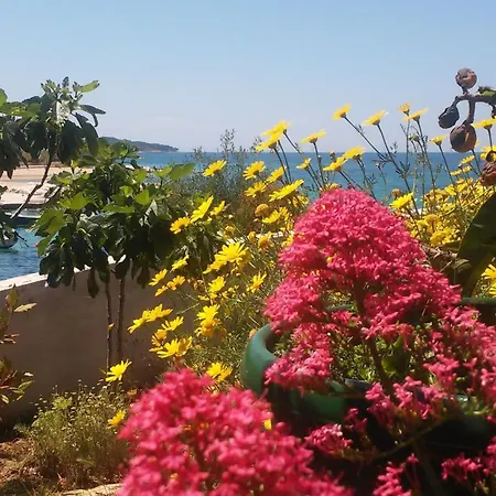 House Sahara Holiday home *
