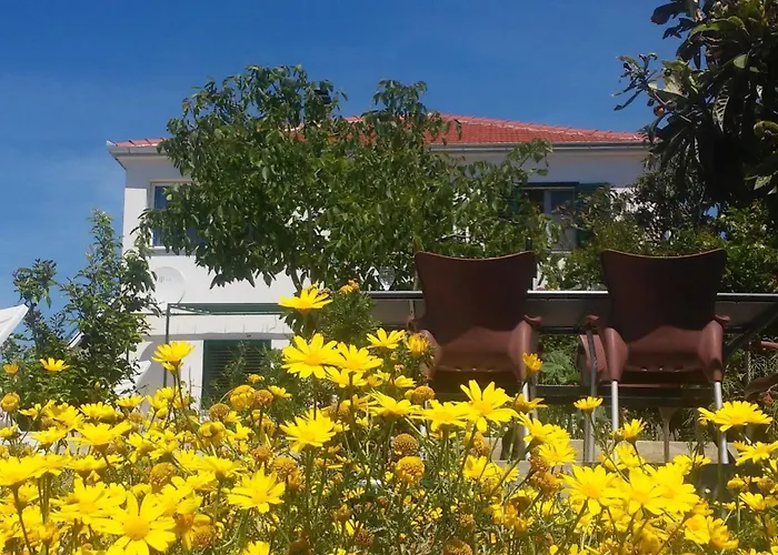 Holiday home House Sahara *