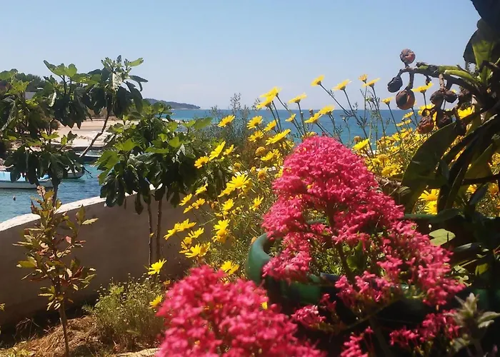 House Sahara Holiday home *